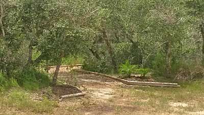 Enchanted Oaks RV Park in Rockport, TX - Entrance